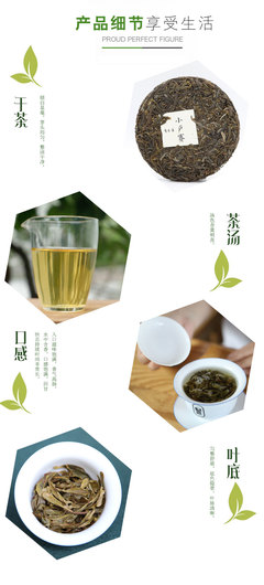 探索智在善秘境 2019小戶賽古樹單株生普洱茶品鑒記